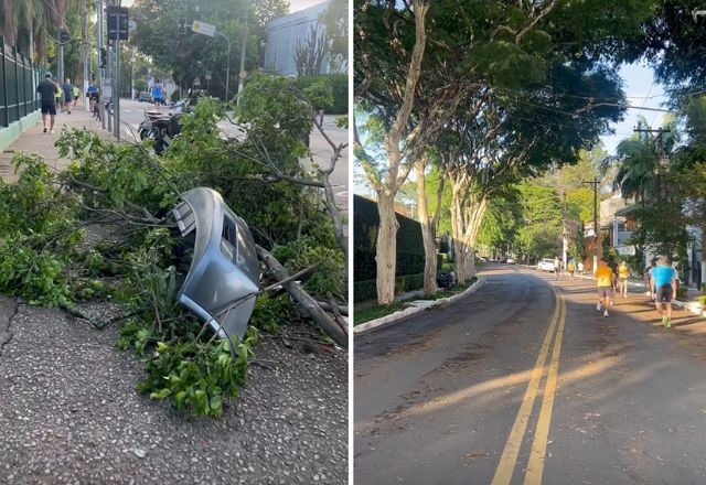 Imagem da noticia Parque Ibirapuera amanhece fechado após temporal em São Paulo