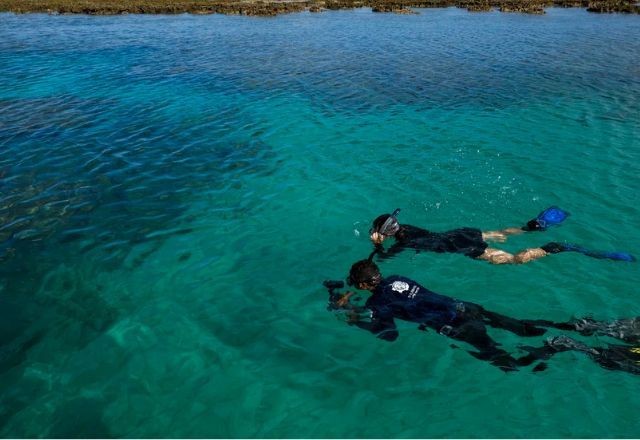 Imagem da noticia Homem morre após mergulho de 62 metros em ponto turístico de Fernando de Noronha 
