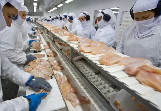 Imagem da noticia Brasil suspende parte de exportações de frango após caso da doença de Newcastle no RS