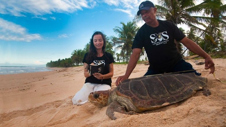 Imagem da noticia Plataforma de ecoturismo PlanetaEXO destaca 10 projetos de conservação no Brasil; veja quais são