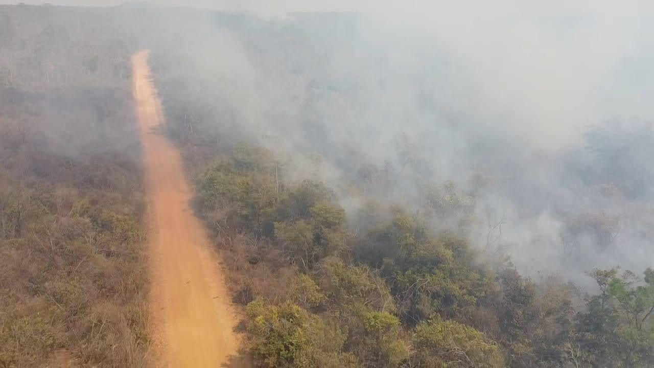 Imagem da noticia Governo Lula vai multar fazendeiros por incêndios criminosos