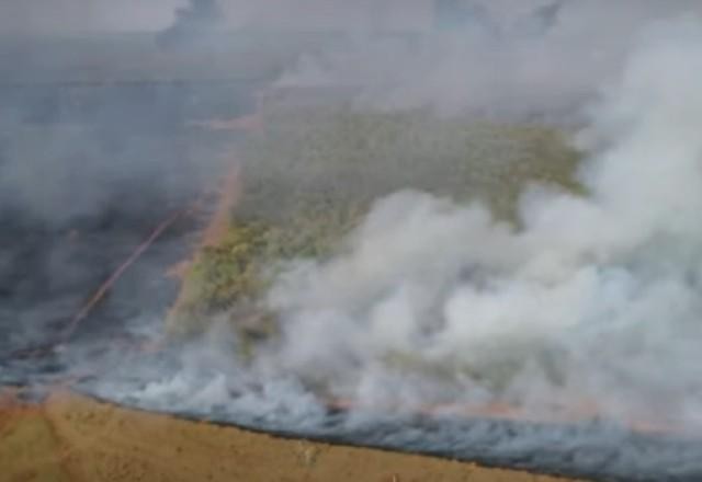 Imagem da noticia Amazônia bate recorde de queimadas em junho; maior número em 15 anos