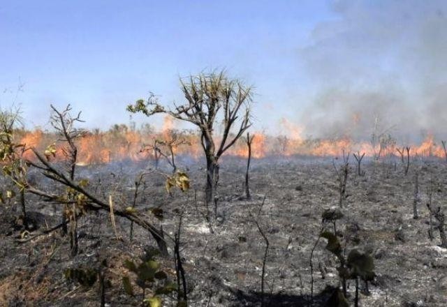 Imagem da noticia A diferença entre incêndio e queimada