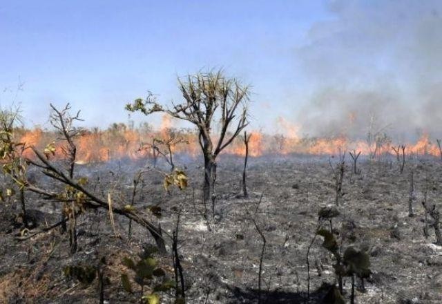 A diferença entre incêndio e queimada