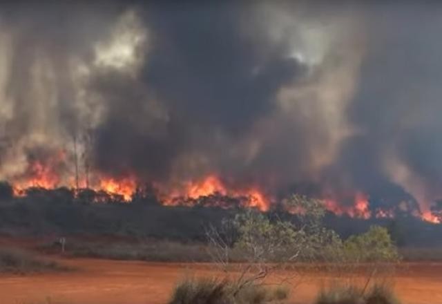 Imagem da noticia Duas pessoas morrem em acidente causado por fumaça de queimada em SP