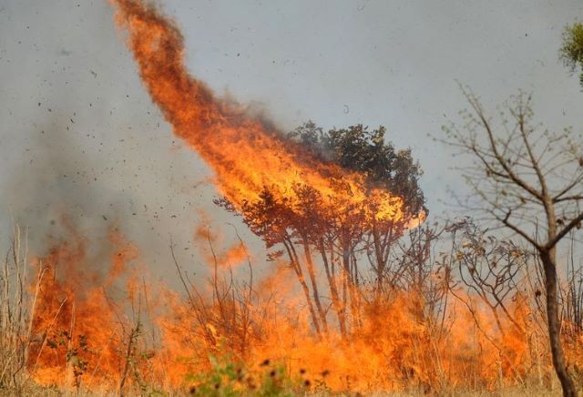 Imagem da noticia Quase 76% dos incêndios da América do Sul estão no Brasil, segundo Inpe