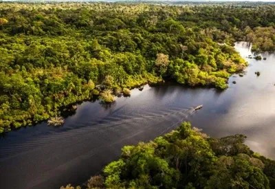 Imagem da noticia Exploração de madeira ilegal no Amazonas cresce e chega a 62% 