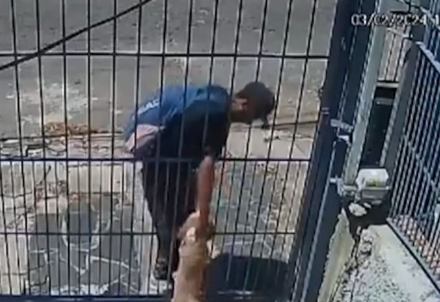 Imagem da noticia Cachorro é roubado por criminoso em Porto Alegre; veja vídeo 