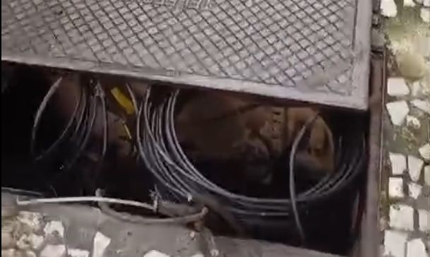 Imagem da noticia Moradores de Laranjeiras denunciam furtos constantes de cabos na região