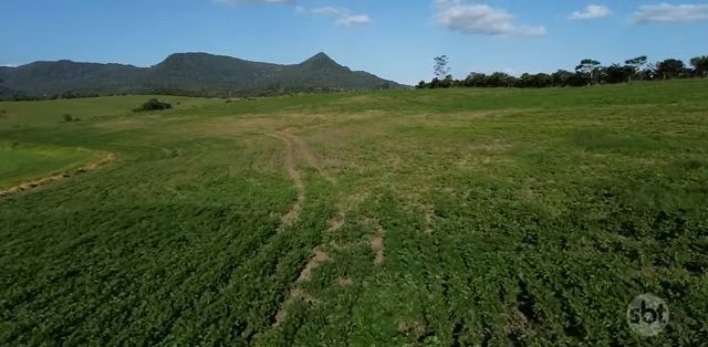 Com mudanças de clima, safra da soja fica abaixo da expectativa no Brasil