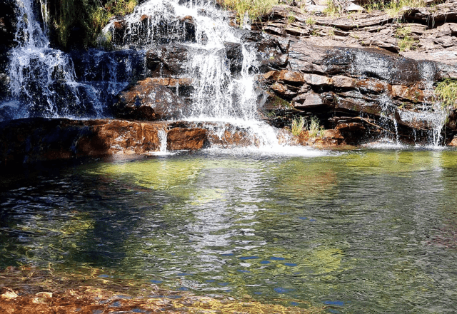 Imagem da noticia Criança de 8 anos é atacada por onça-parda na Chapada dos Veadeiros (GO)