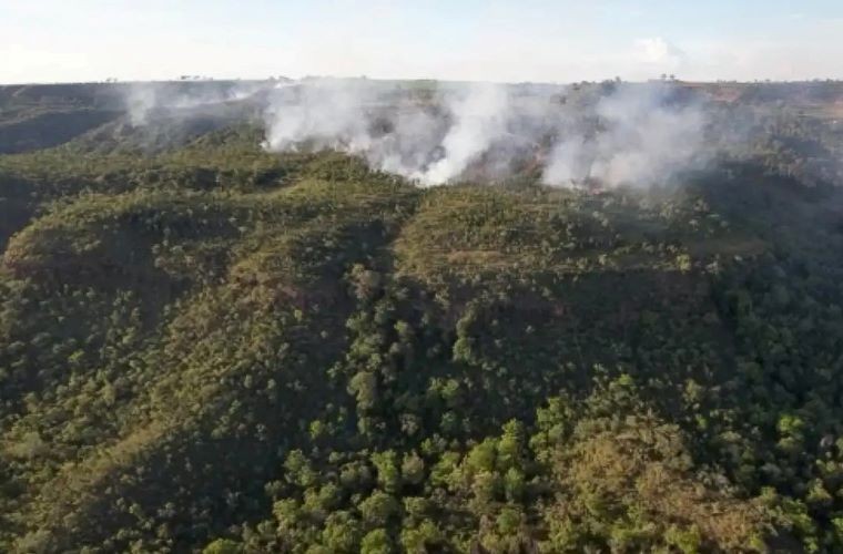 Imagem da noticia Incêndio atinge região próxima do Santuário de Elefantes em Mato Grosso