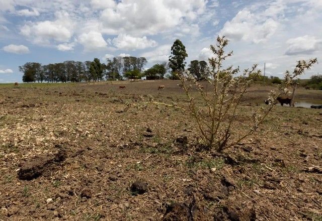 Imagem da noticia Mais de 200 municípios decretam emergência por causa da estiagem no RS