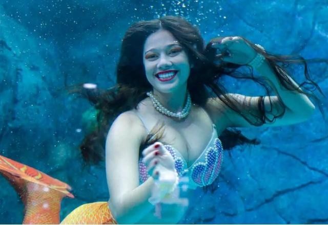 Imagem da noticia Um encontro com a sereia no Aquário de São Paulo