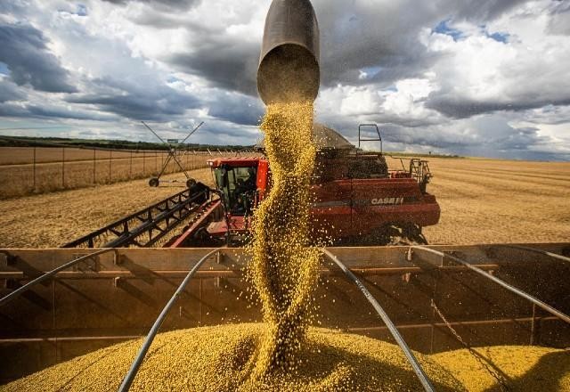 Imagem da noticia Produtores do Mato Grosso estão preocupados com aumento do preço dos insumos