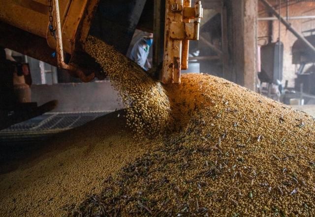 Imagem da noticia Especialista analisa preço das commodities em setembro; confira