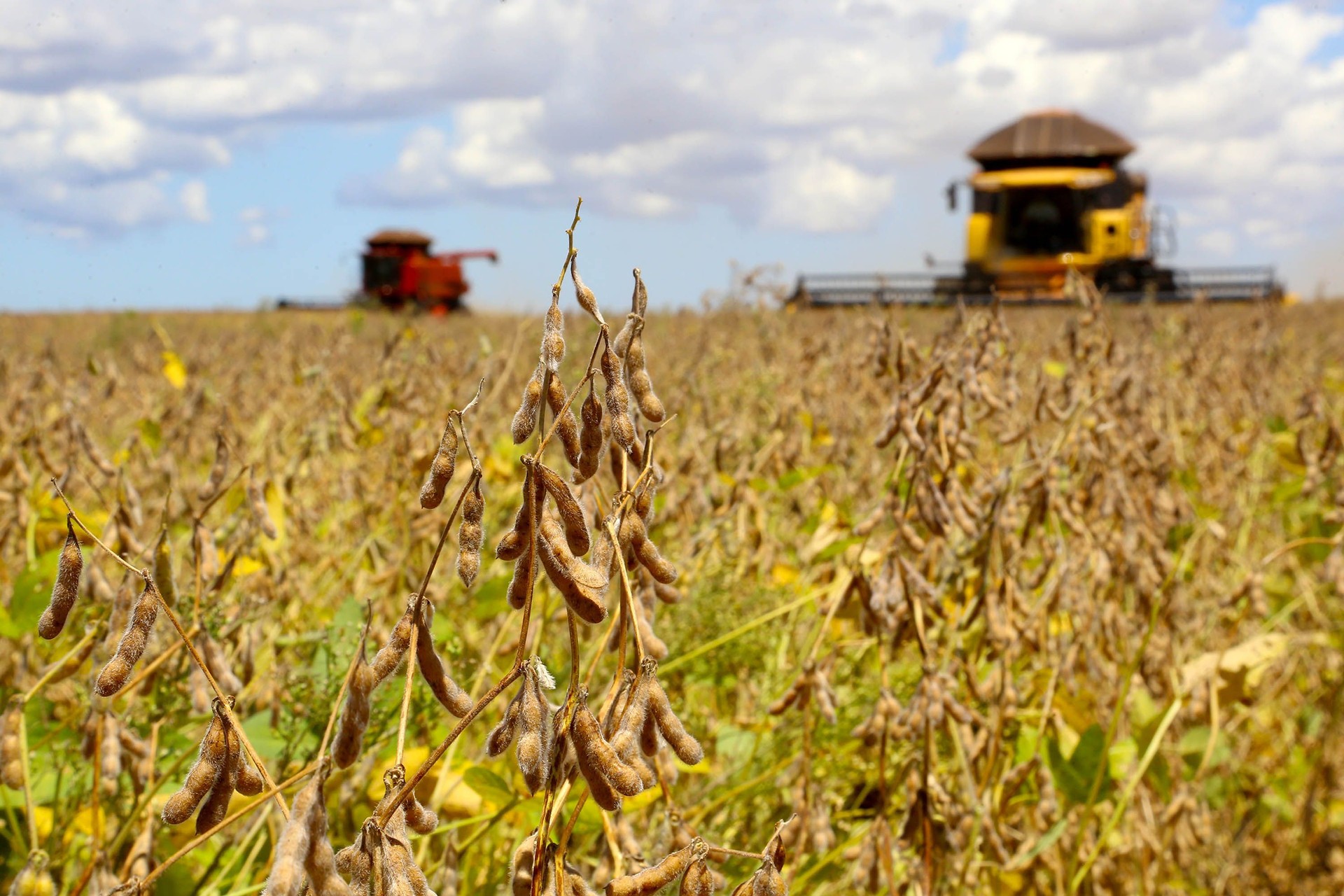 Paraná teve maior crescimento econômico regional em 2023; confira ranking