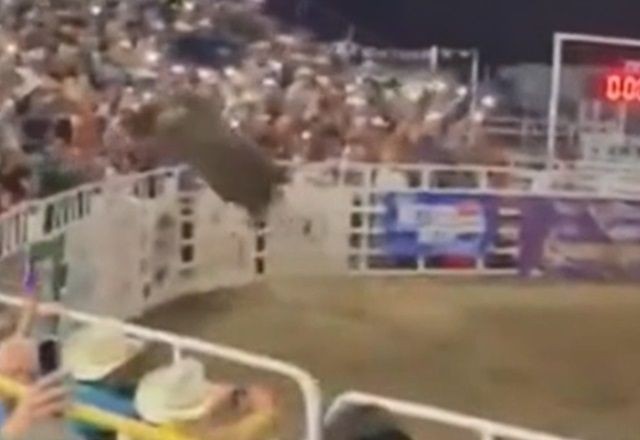 VÍDEO: Touro pula da arena para a arquibancada durante rodeio nos EUA