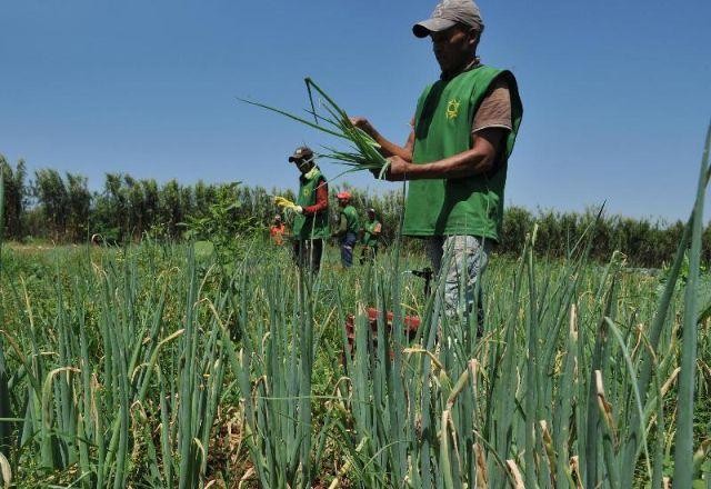 Imagem da noticia Após queda, desemprego registra alta de 8,8% no trimestre móvel; entenda