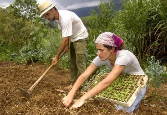 Imagem da noticia Mercado de trabalho do agronegócio bate recorde em 2023