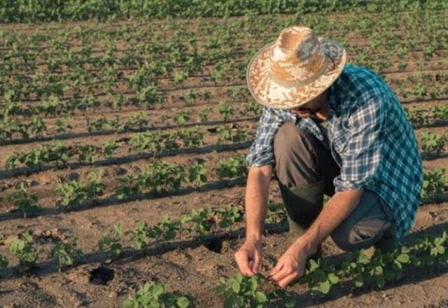 Imagem da noticia A função social do produtor rural