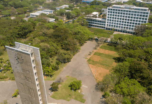 Imagem da noticia Fuvest 2027: começa nesta segunda (11) o prazo para pedir isenção da taxa para o vestibular da USP