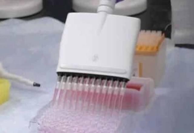 Imagem da noticia Reino Unido recebe primeiro carregamento de vacinas  nos próximos dias