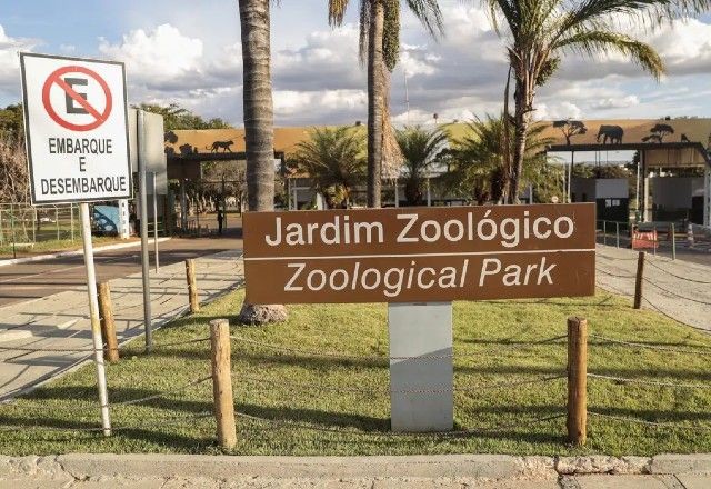 Imagem da noticia Caso de gripe aviária é confirmado no Zoológico de Brasília