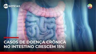 Casos de Doença de Crohn crescem 15% ao ano no Brasil e preocupam médicos | #SBTNoticias Casos de Doença de Crohn crescem 15% ao ano no Brasil e preocupam médicos | #SBTNoticias