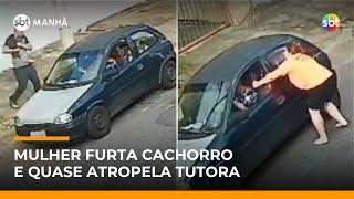 Após cachorro escapar, mulher mente, furta animal e quase atropela tutora | #SBTManha Após cachorro escapar, mulher mente, furta animal e quase atropela tutora | #SBTManha