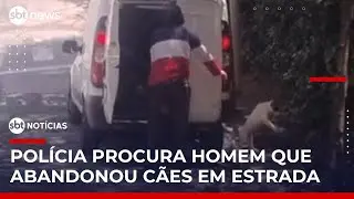 Homem é flagrado abandonando cães em estrada na Grande SP | #SBTNoticias Homem é flagrado abandonando cães em estrada na Grande SP | #SBTNoticias