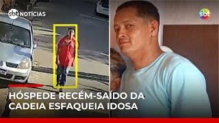 Idosa é esfaqueada por inquilino recém-saído da prisão em SP | #SBTNotícias Idosa é esfaqueada por inquilino recém-saído da prisão em SP | #SBTNotícias