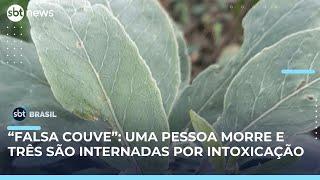 Mulher morre e três homens são internados após consumir “falsa couve” em MG | #SBTBrasil Mulher morre e três homens são internados após consumir “falsa couve” em MG | #SBTBrasil