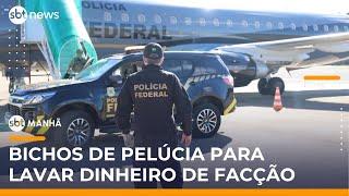 ▶️ SBT Manhã AO VIVO | Operação revela uso de bichinhos de pelúcia para lavar dinheiro de facção ▶️ SBT Manhã AO VIVO | Operação revela uso de bichinhos de pelúcia para lavar dinheiro de facção