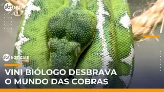 Expedição Animal: conheça o incrível mundo das cobras | #SBTNoticias Expedição Animal: conheça o incrível mundo das cobras | #SBTNoticias