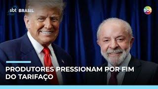 Produtores pressionam por fim do tarifaço após encontro entre Lula e Trump | #SBTBrasil Produtores pressionam por fim do tarifaço após encontro entre Lula e Trump | #SBTBrasil