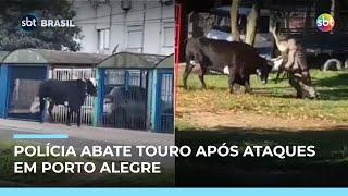 Touro é abatido após atacar pedestres e policiais em Porto Alegre | #SBTBrasil Touro é abatido após atacar pedestres e policiais em Porto Alegre | #SBTBrasil