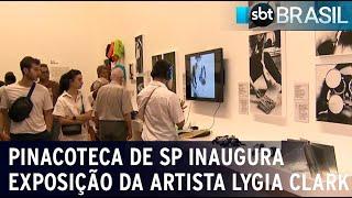 Pinacoteca de SP inaugura exposição com mais de 150 obras de Lygia Clark | SBT Brasil (02/03/2024)