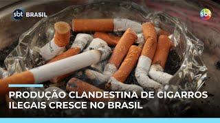 Produção clandestina de cigarros cresce no Brasil e impulsiona crime organizado Produção clandestina de cigarros cresce no Brasil e impulsiona crime organizado