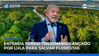 Entenda fundo trilionário lançado por Lula para salvar florestas | #PoderExpresso Entenda fundo trilionário lançado por Lula para salvar florestas | #PoderExpresso
