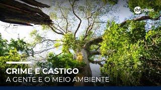 Crime e Castigo: A Gente e o Meio Ambiente | #SBTNews Crime e Castigo: A Gente e o Meio Ambiente | #SBTNews