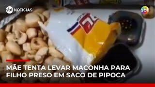"Pipoconha": Mãe é flagrada tentando levar maconha para filho em presídio | #SBTNotícias "Pipoconha": Mãe é flagrada tentando levar maconha para filho em presídio | #SBTNotícias