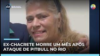 Ex-Chacrete Lia Hollywood morre um mês após ataque de pitbull no Rio Ex-Chacrete Lia Hollywood morre um mês após ataque de pitbull no Rio