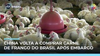 China retoma importação de carne de frango do Brasil após fim do embargo China retoma importação de carne de frango do Brasil após fim do embargo