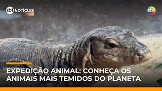 Expedição Animal: Vini biólogo visita Aquário de SP e Zooparque de Itatiba | #SBTNoticias Expedição Animal: Vini biólogo visita Aquário de SP e Zooparque de Itatiba | #SBTNoticias