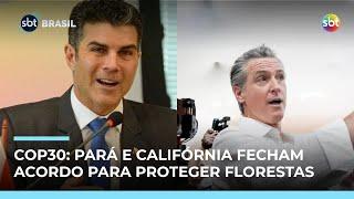 COP 30: Governadores do Pará e da Califórnia fecham acordo sobre proteção floresta COP 30: Governadores do Pará e da Califórnia fecham acordo sobre proteção floresta