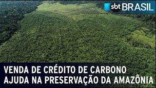 Venda de crédito de carbono ajuda na preservação da Floresta Amazônia | SBT Brasil (02/03/2024)