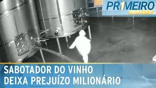 Após sabotagem, vinícola espanhola tem prejuízo de R$ 13 milhões | Primeiro Impacto (21/02/24)