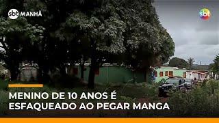 Criança de 10 anos é esfaqueada por adolescente enquanto pegava mangas em árvore | #SBTManhã Criança de 10 anos é esfaqueada por adolescente enquanto pegava mangas em árvore | #SBTManhã