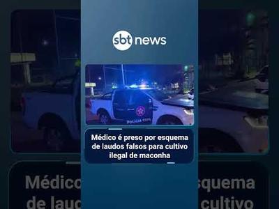 Médico é preso por esquema de laudos falsos para cultivo ilegal de maconha | #SBTManha Médico é preso por esquema de laudos falsos para cultivo ilegal de maconha | #SBTManha
